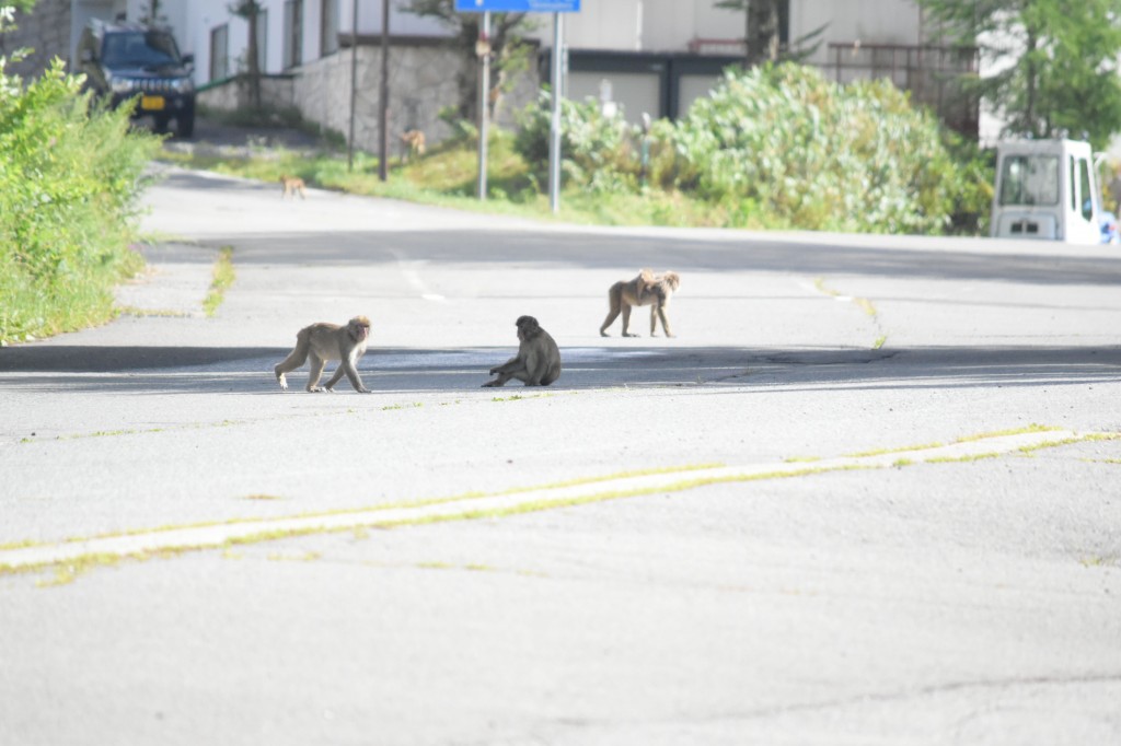 TNK_0149 のコピー